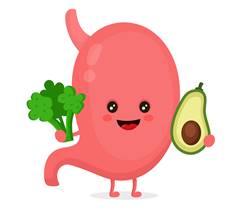 Secret of Aging Healthy Gut