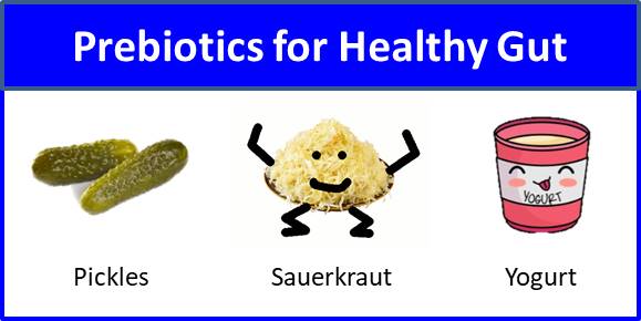 Secret of Aging Prebiotics for Healthy Gut