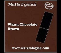 Warm Chocolate Brown