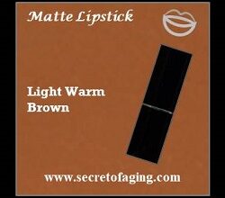 Light Warm Brown