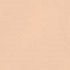 Light Medium Cool Pink Shade Foundation with Aloe