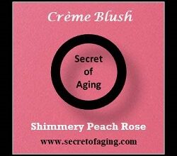 Shimmery Peach Rose