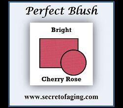 Bright Cherry Rose