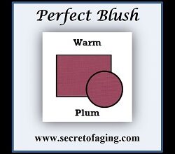 Warm Plum