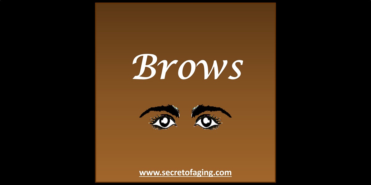 Brows by Secret of Aging