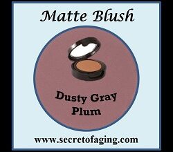 Dusty Gray Plum