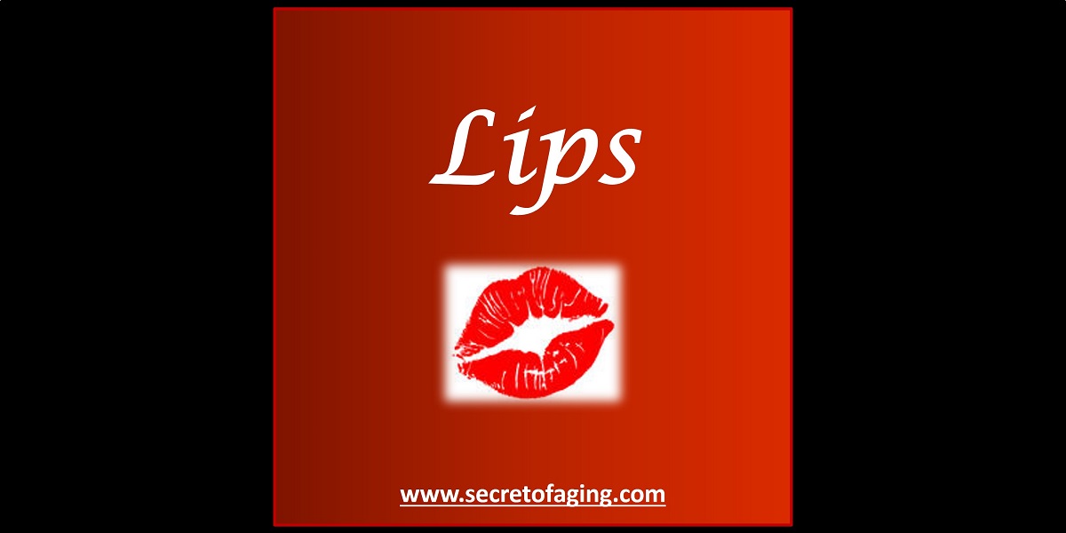 Lips by Secret of Aging