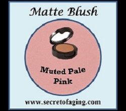 Muted Pale Pink
