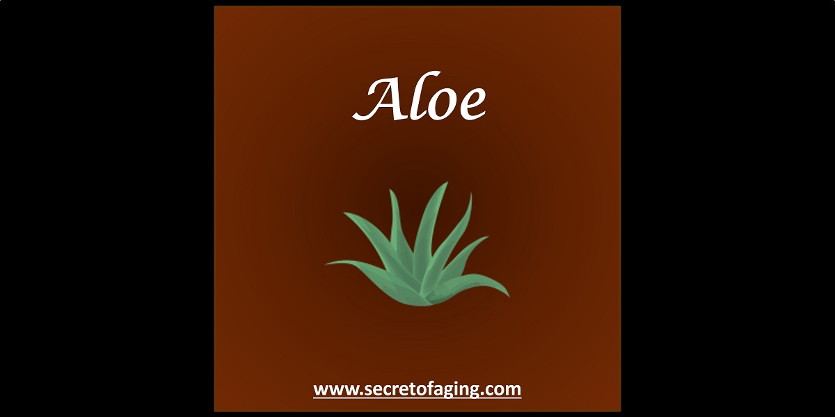 Aloe by Secret of Aging