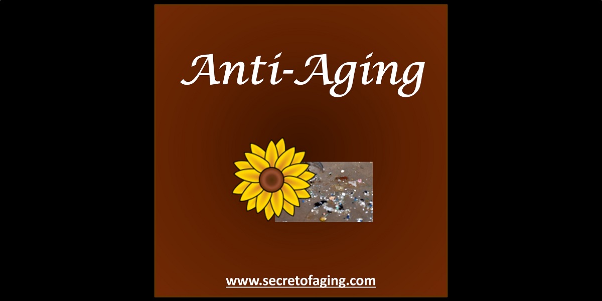 Anti-Aging Skincare by Secret of Aging