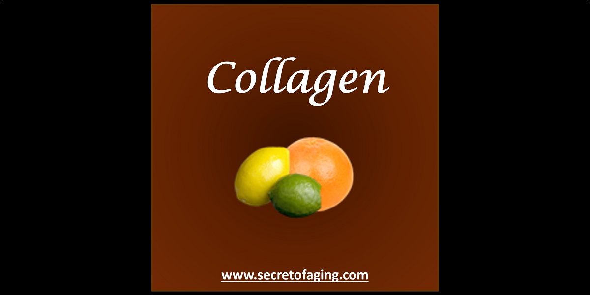 Collagen Skincare by Secret of Aging