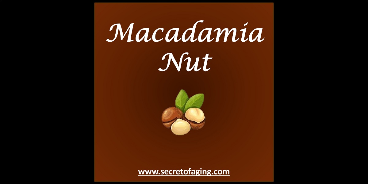 Macadamia Nut by Secret of Aging