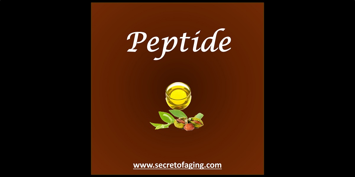 Peptide Skincare by Secret of Aging