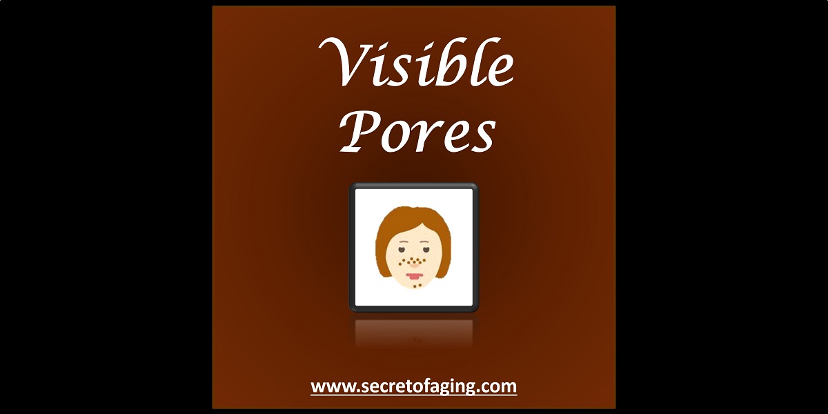 Visible Pore by Secret of Aging